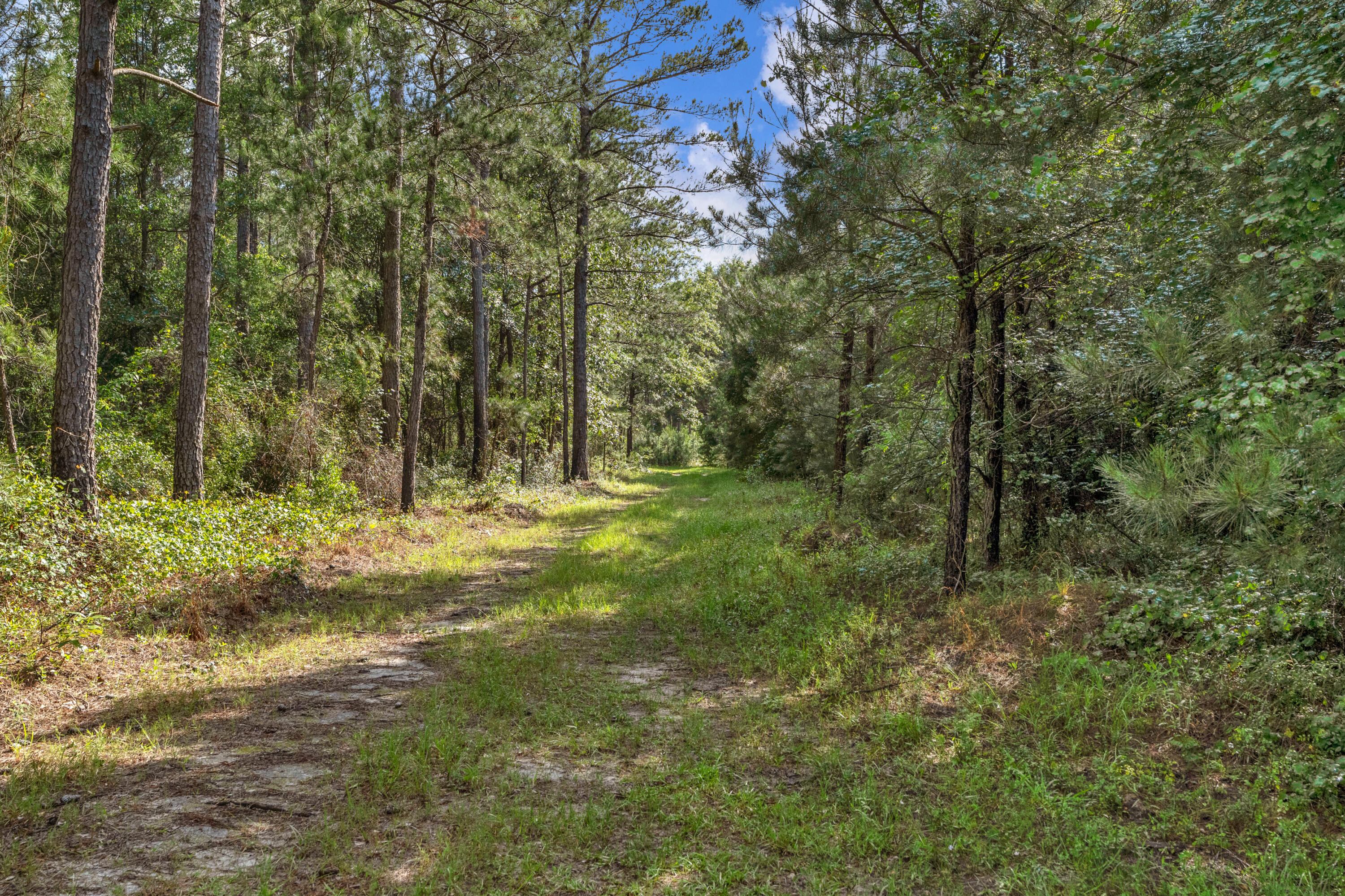 0 North Brewington Road, Unit 3 Manning, SC 29102 - Photo 39 of 43 DSC05484