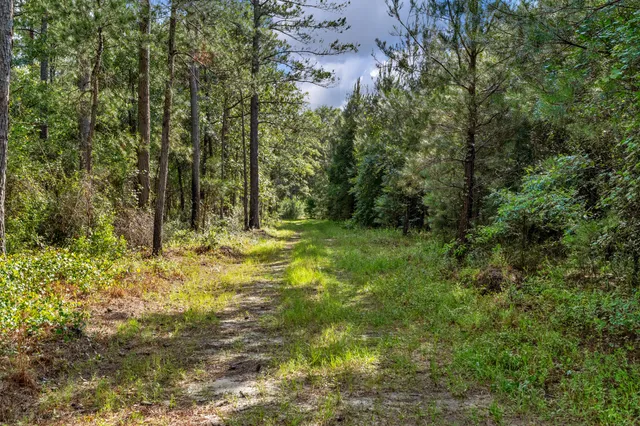 $299,500 | 0 North Brewington Road, Unit 3, Manning, SC 29102