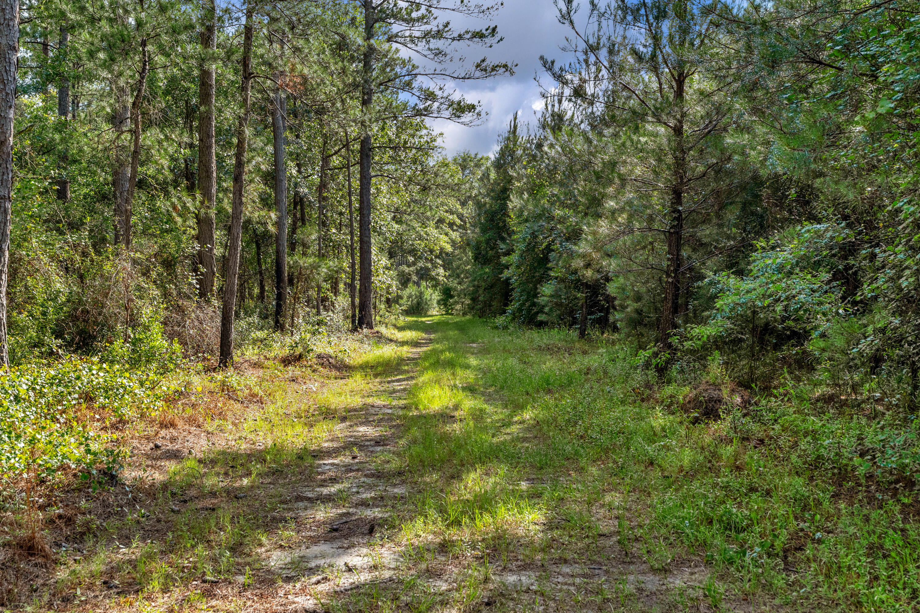 0 North Brewington Road, Unit 3 Manning, SC 29102 - Photo 40 of 43 DSC05489