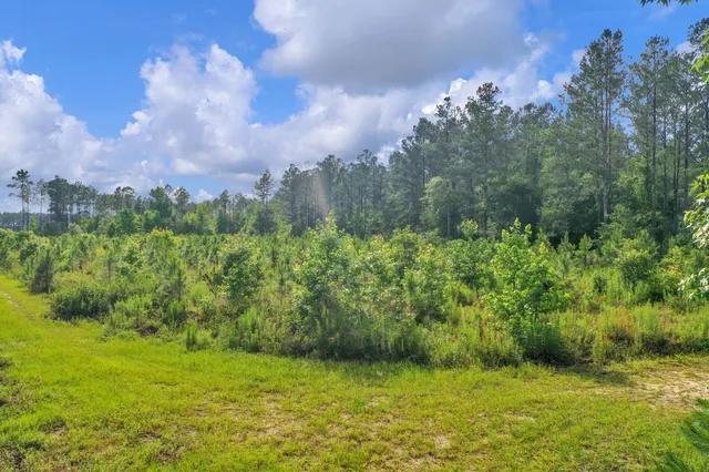 $299,500 | 0 North Brewington Road, Unit 3, Manning, SC 29102