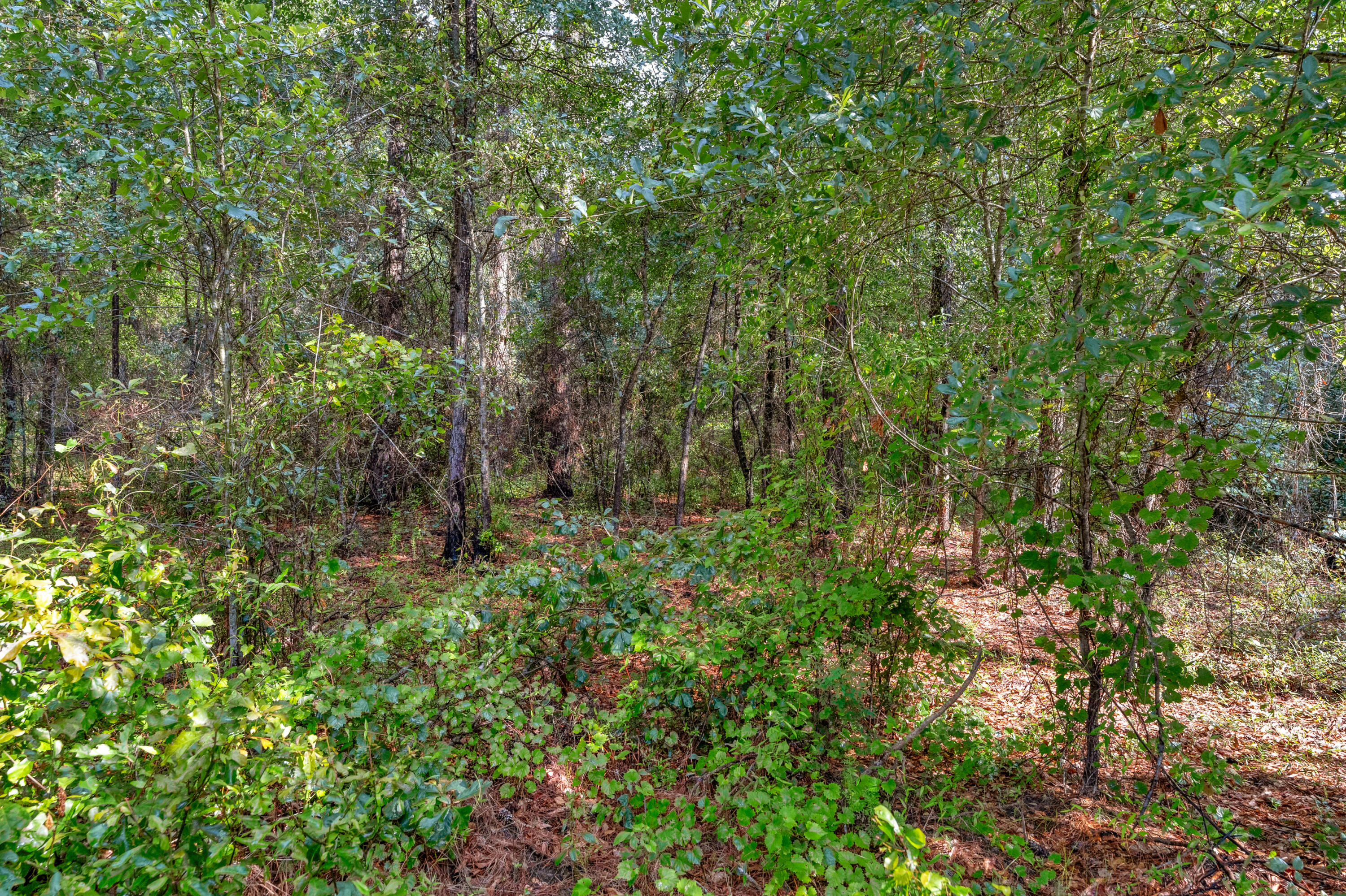 0 North Brewington Road, Unit 3 Manning, SC 29102 - Photo 41 of 43 DSC05493