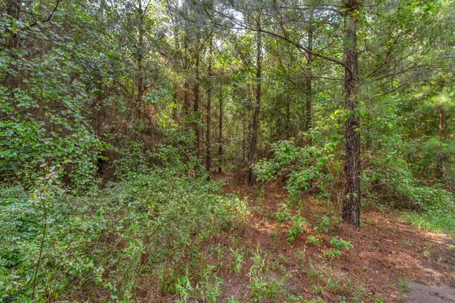 $299,500 | 0 North Brewington Road, Unit 3, Manning, SC 29102