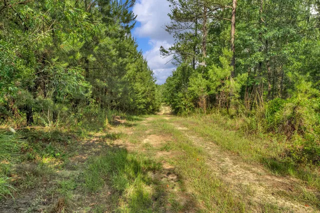 $299,500 | 0 North Brewington Road, Unit 3, Manning, SC 29102