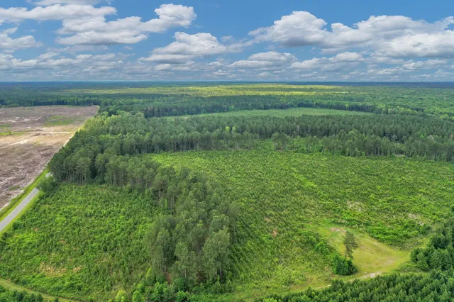 $299,500 | 0 North Brewington Road, Unit 3, Manning, SC 29102