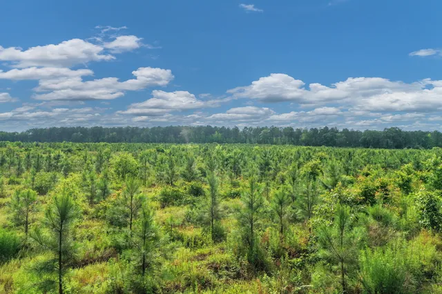 $299,500 | 0 North Brewington Road, Unit 3, Manning, SC 29102