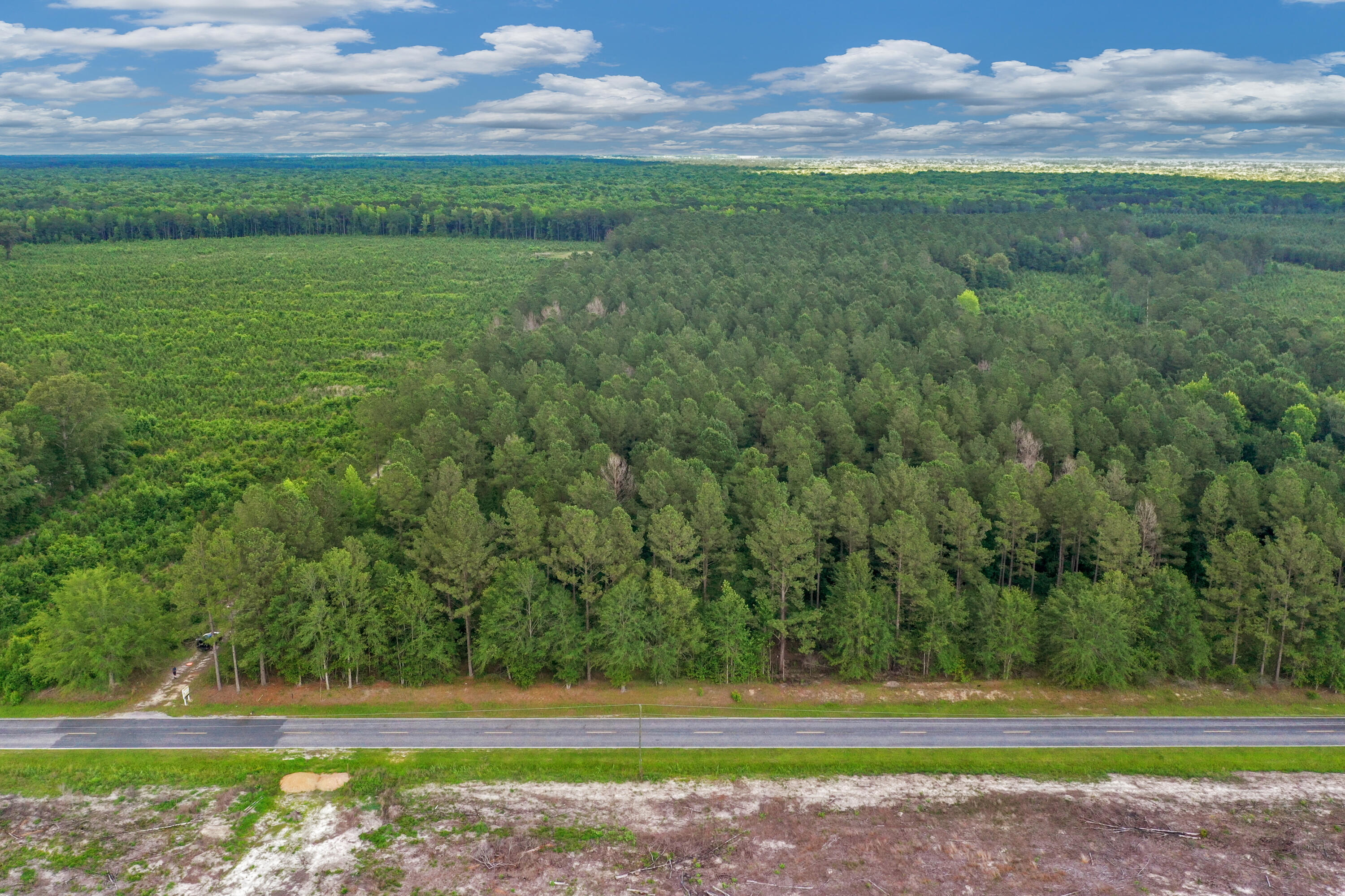 0 North Brewington Road, Unit 3 Manning, SC 29102 - Photo 9 of 43 DJI_0589
