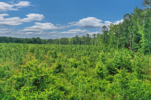 $299,500 | 0 North Brewington Road, Unit 3, Manning, SC 29102