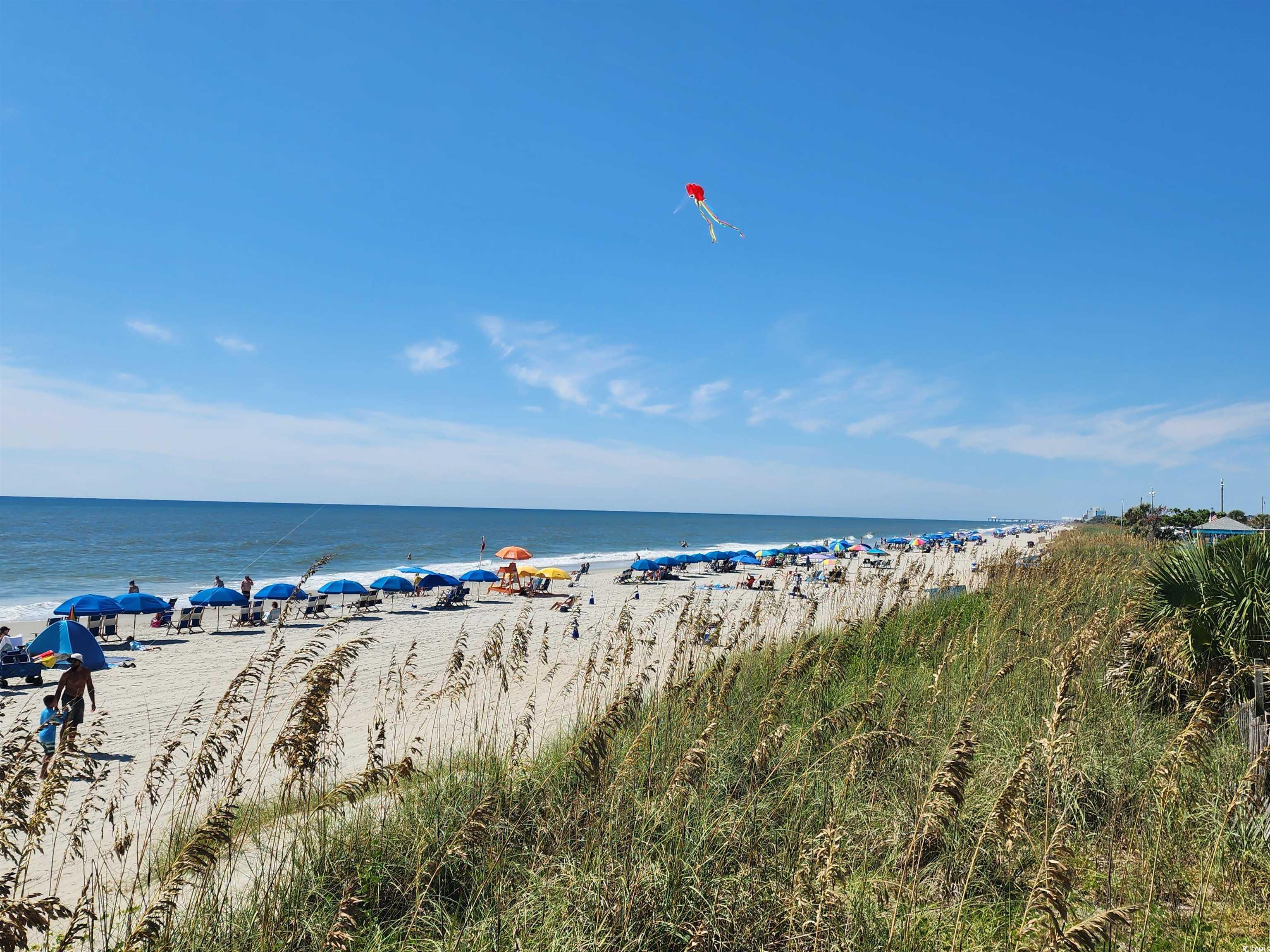 5905 Highway 17, Unit 226B Savannah, GA 31419 - Photo 28 of 34