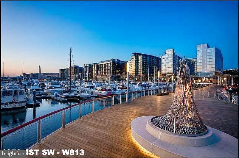 1250 4th Street Southwest, Unit W813 Washington, DC 20024 - Photo 7 of 34 beautiful waterfront