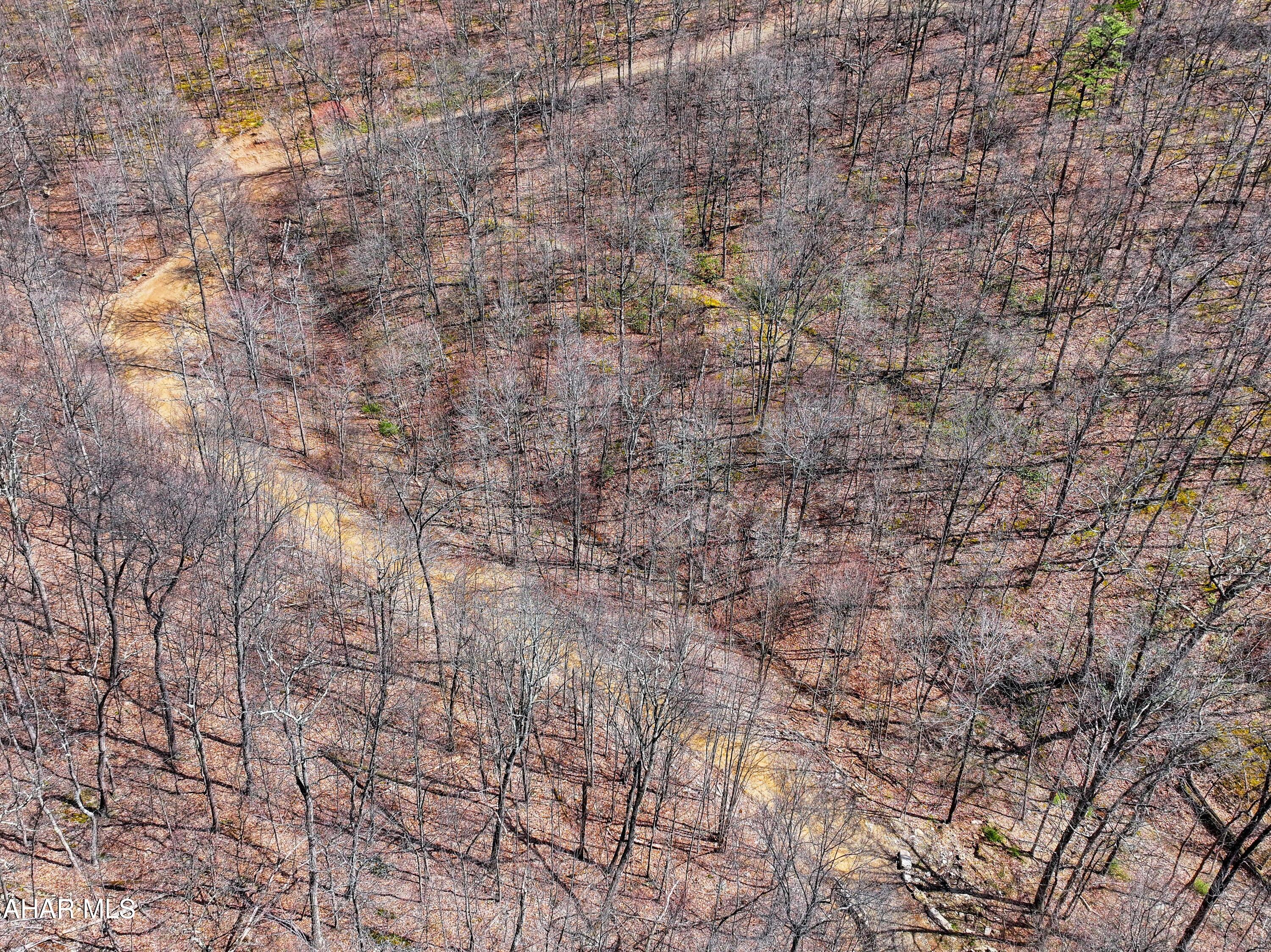 0 Pine Ridge Road Saxton, PA 16678 - Photo 9 of 23