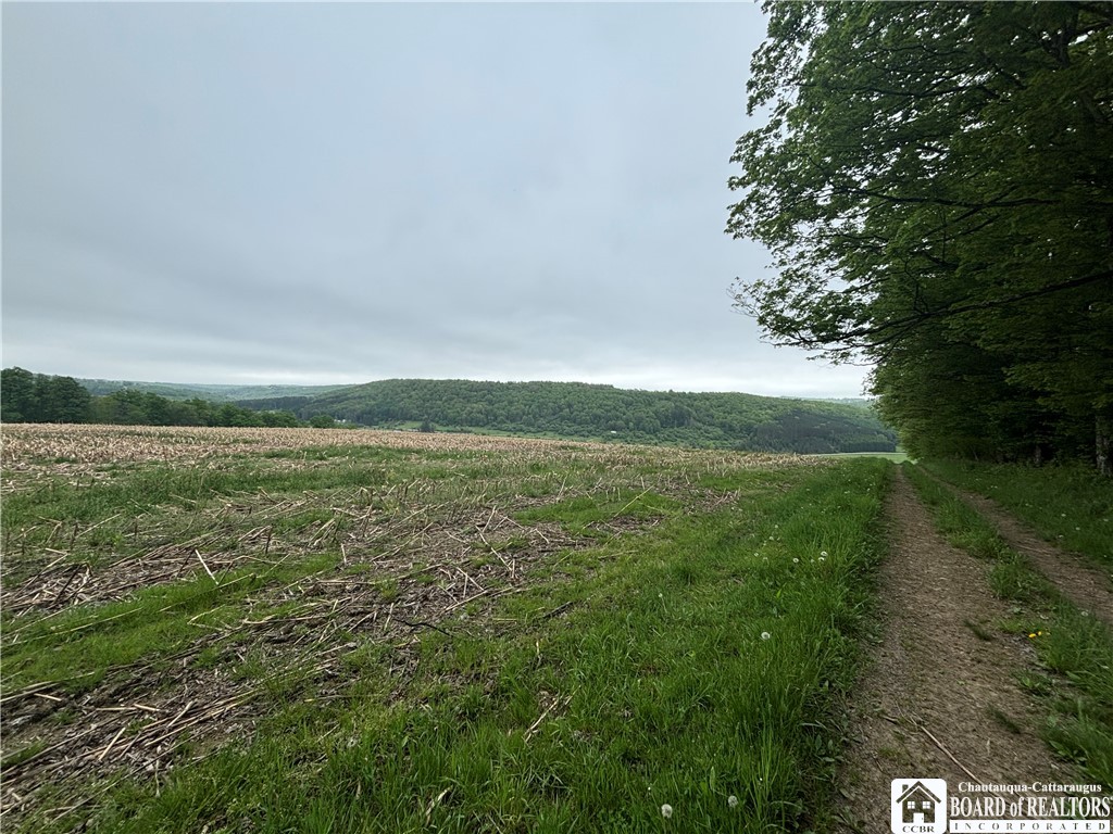 Fulmer Valley Road Wellsville, NY 14895 - Photo 46 of 49