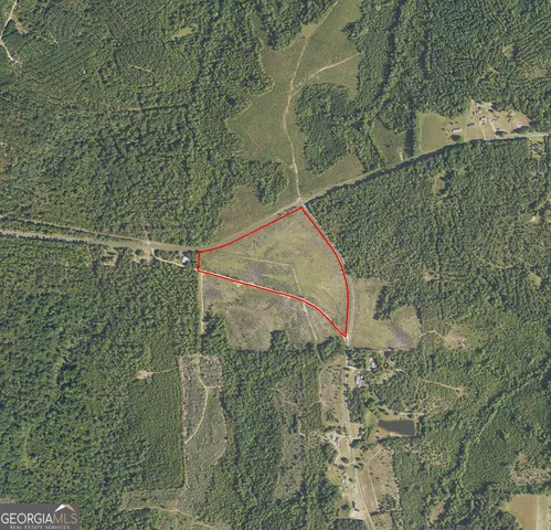 a view of a dry yard