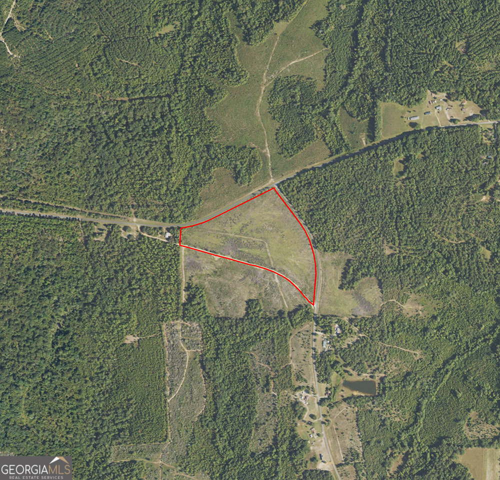 a view of a dry yard