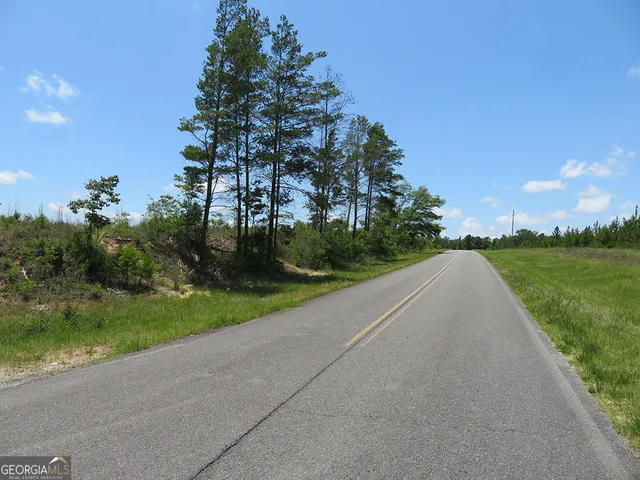a view of a street both of side forest