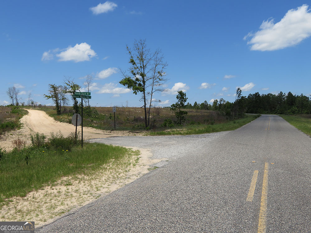 1 Pineville Road Buena Vista, GA 31803 - Photo 6 of 7 a view of a lake