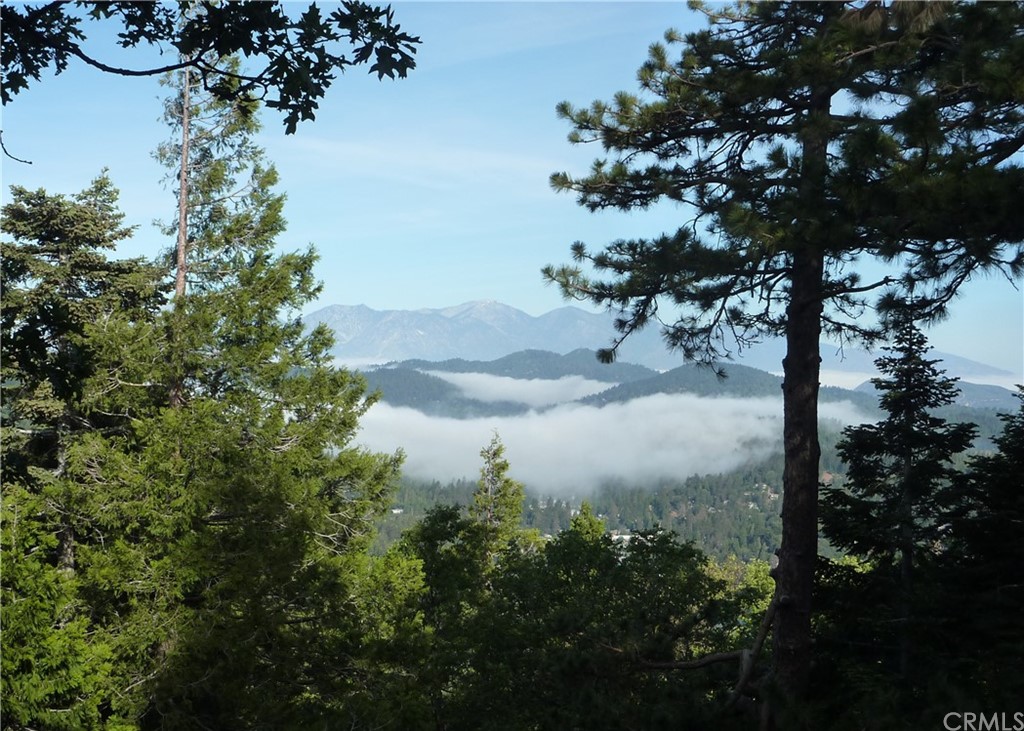 25274 N Road Twin Peaks, CA 92391 - Photo 2 of 35 a view of a tree in a yard