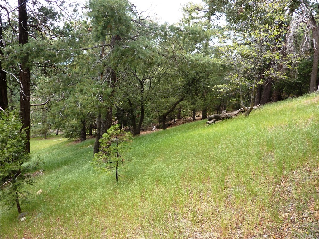 25274 N Road Twin Peaks, CA 92391 - Photo 35 of 35 a garden with trees in the background