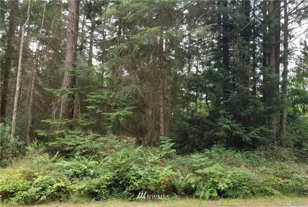 990 East Classic Road Greenbank, WA 98253 - Photo 1 of 10 Gallery Image 1