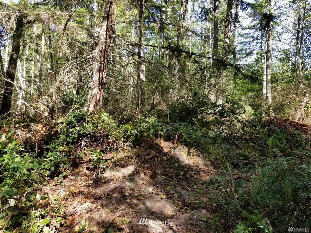 990 East Classic Road Greenbank, WA 98253 - Photo 2 of 10 Gallery Image 2
