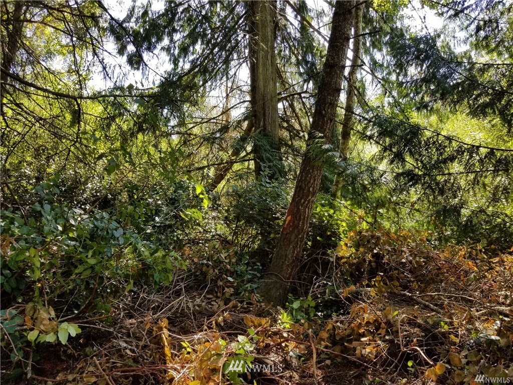 990 East Classic Road Greenbank, WA 98253 - Photo 8 of 10 Gallery Image 8