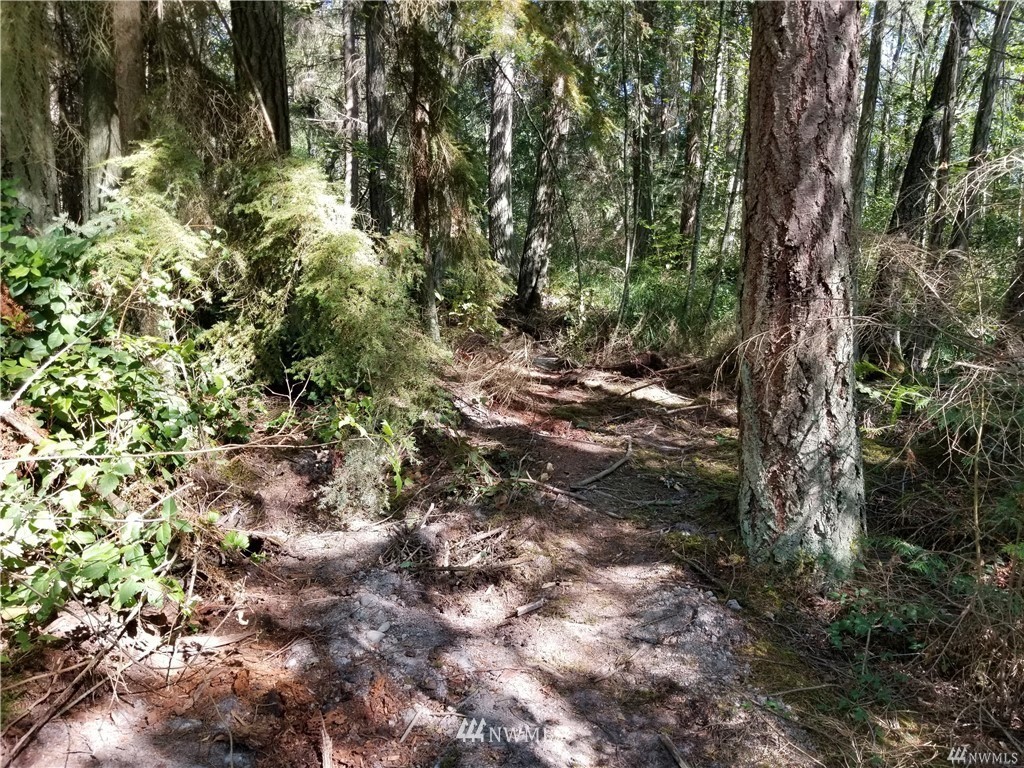 990 East Classic Road Greenbank, WA 98253 - Photo 10 of 10 Gallery Image 10