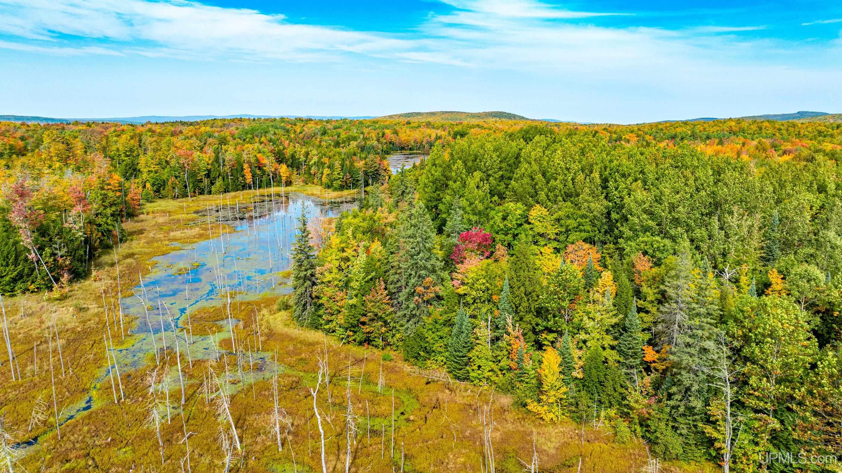 Tbd Bergland Road Bergland, MI 49910 - Photo 24 of 54 Gallery Image 24