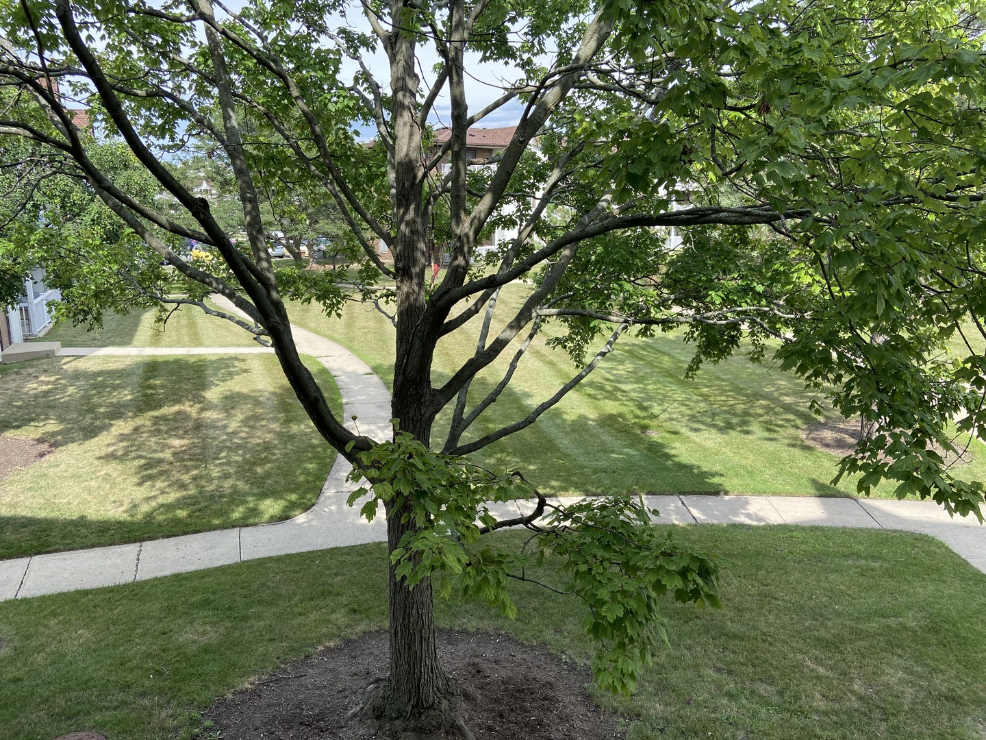 125 North Gregory Street, Unit 10 Aurora, IL 60504 - Photo 13 of 13