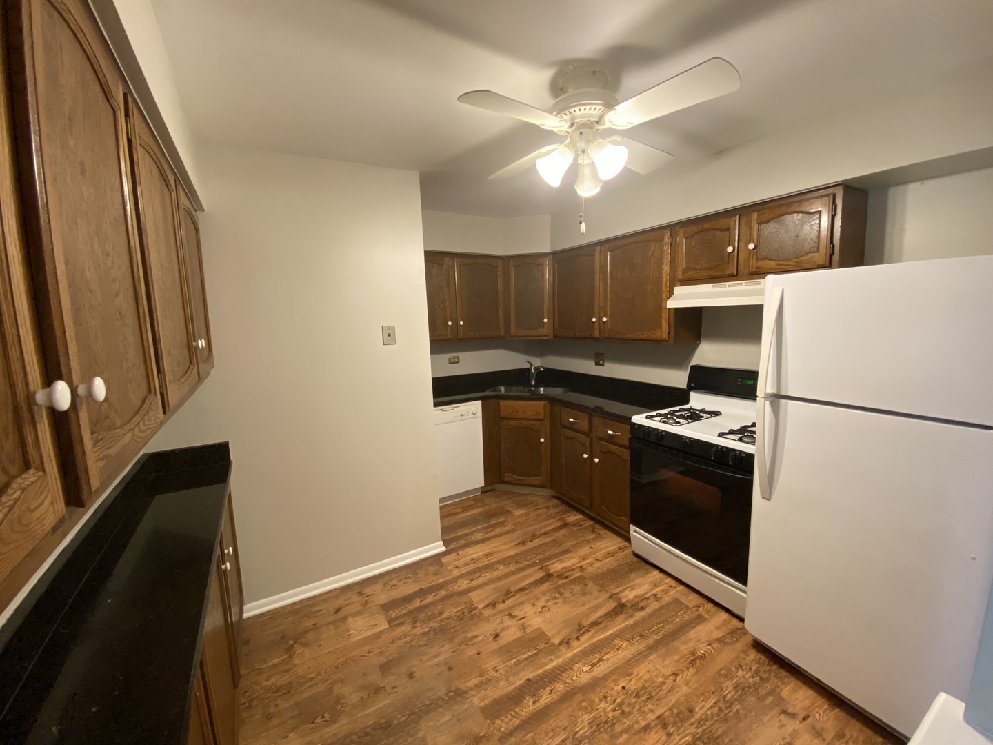 125 North Gregory Street, Unit 10 Aurora, IL 60504 - Photo 5 of 13