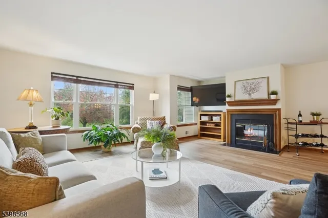 a living room with furniture a fireplace and a potted plant