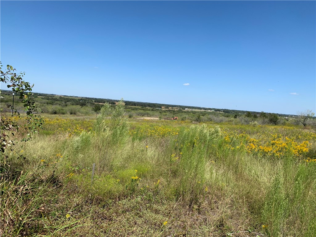 470 Tower Road Lockhart, TX 78644 - Photo 1 of 1 Gallery Image 1