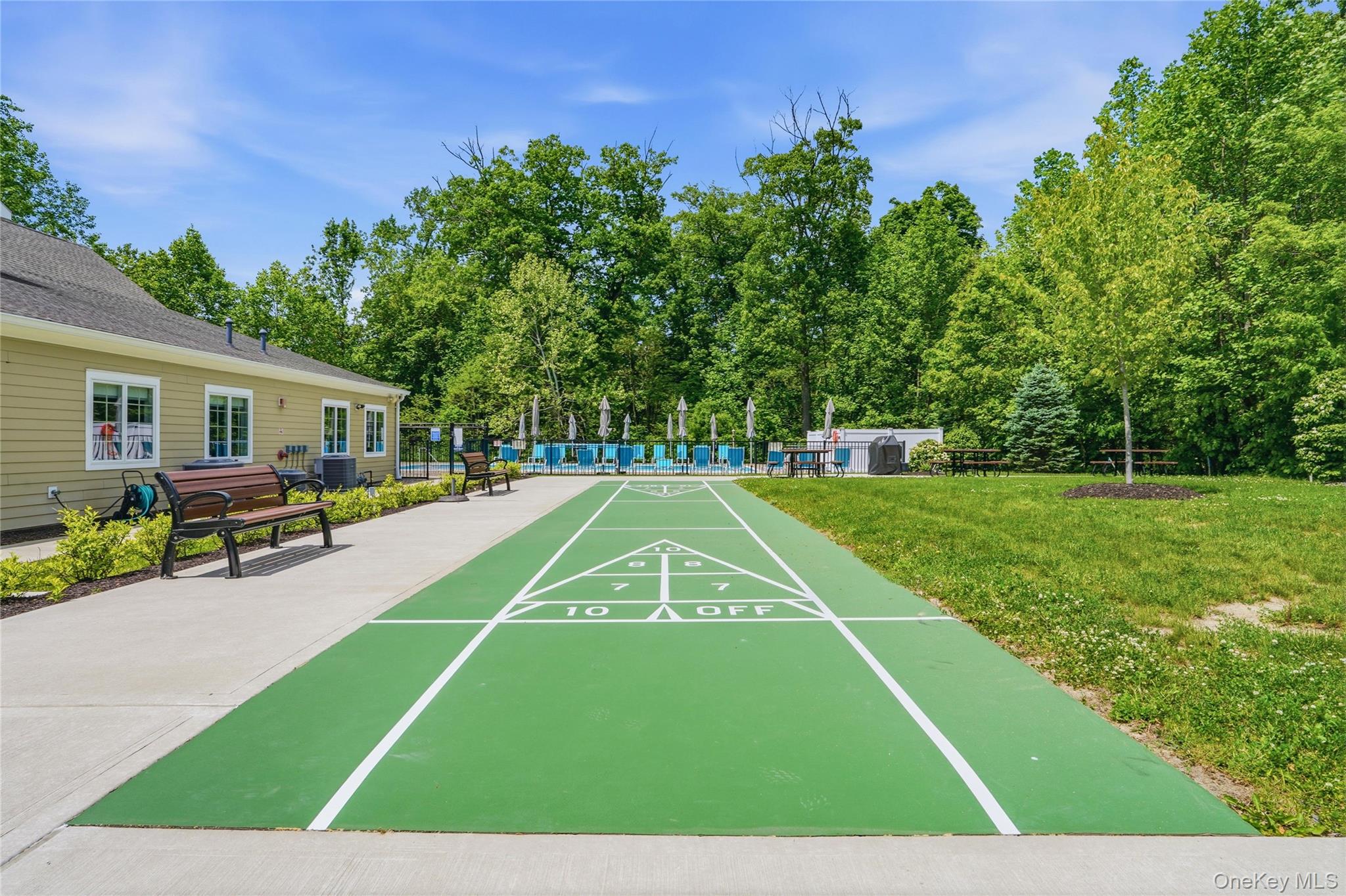 32 Rolling Ridge Road Hyde Park, NY 12538 - Photo 42 of 50 Outdoor shuffleboard court with distinct green playing surface and white markings
