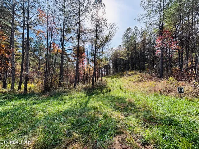 $145,000 | Stonecipher Court, Sunbright, TN 37872