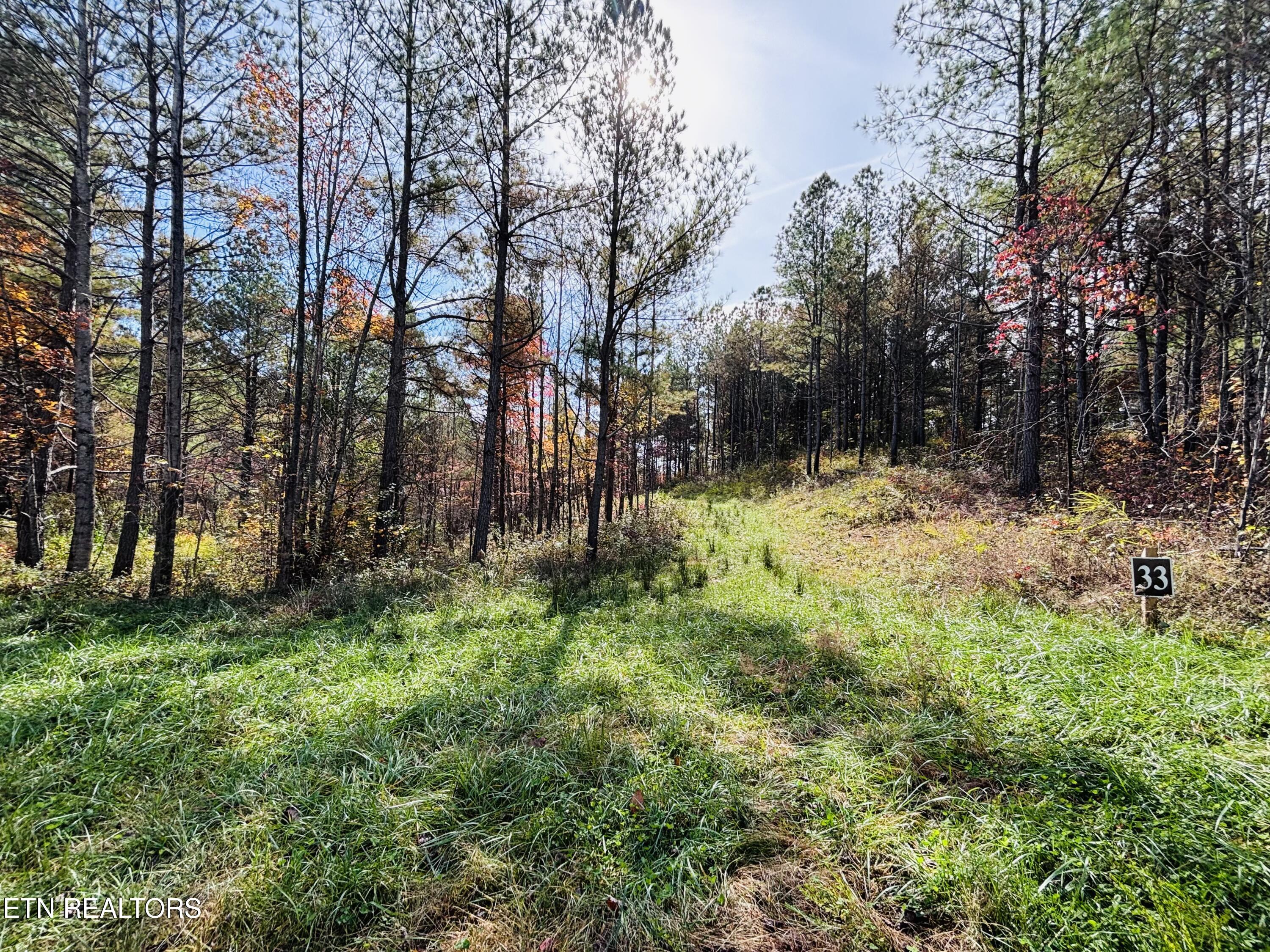 Stonecipher Court Sunbright, TN 37872 - Photo 11 of 38 IMG_2376