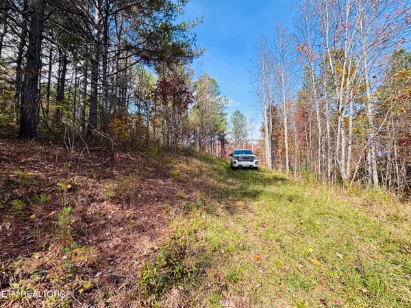 $145,000 | Stonecipher Court, Sunbright, TN 37872