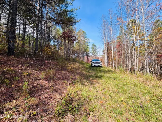 $145,000 | Stonecipher Court, Sunbright, TN 37872