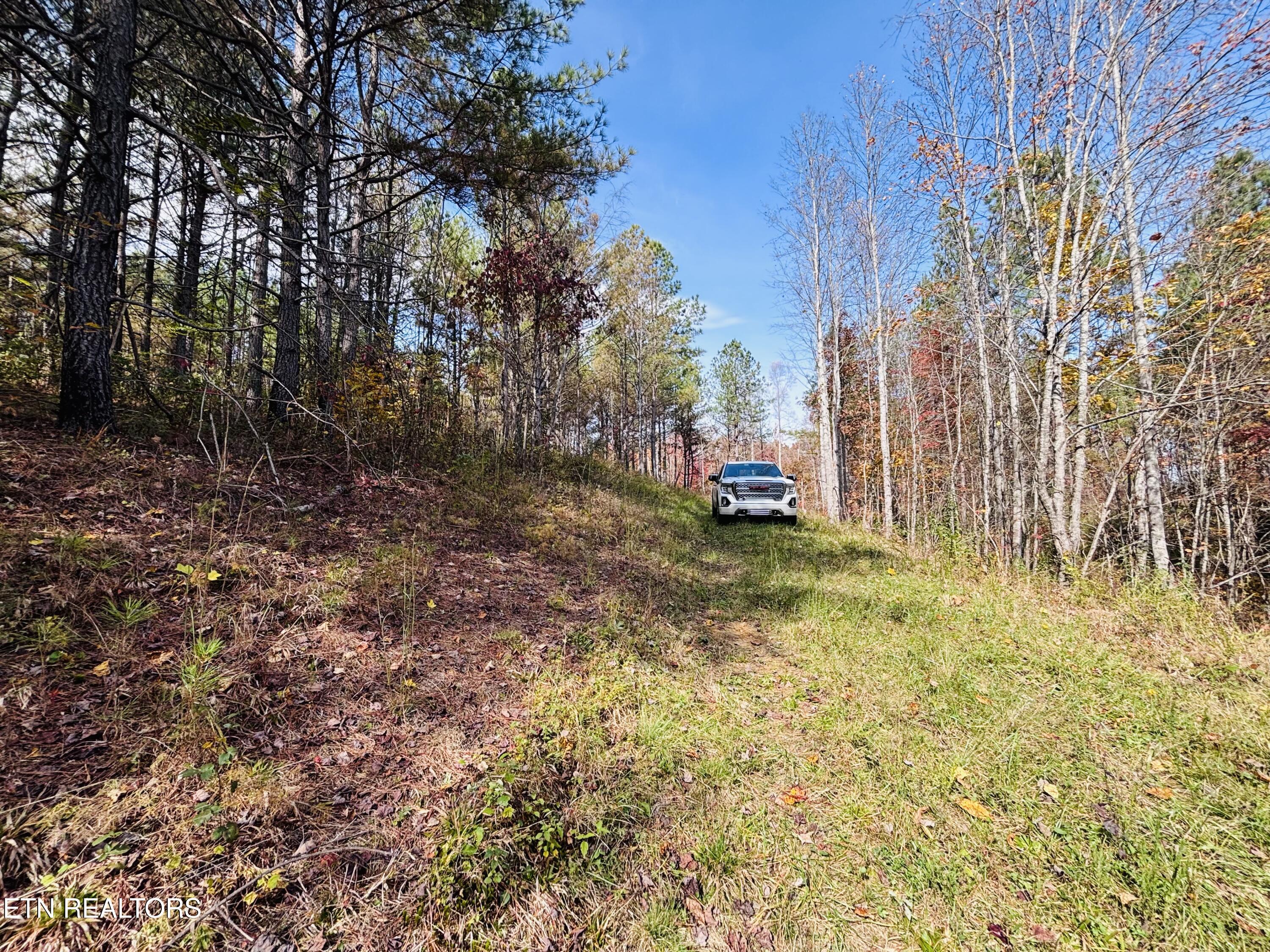 Stonecipher Court Sunbright, TN 37872 - Photo 12 of 38 IMG_2378