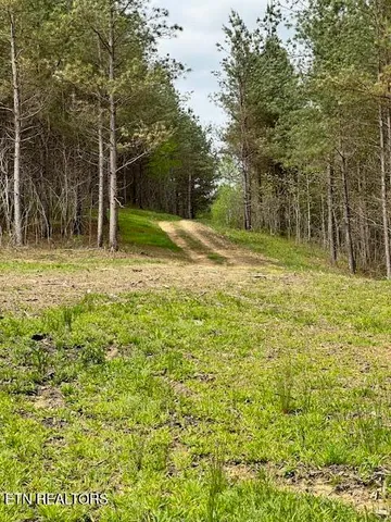 $145,000 | Stonecipher Court, Sunbright, TN 37872