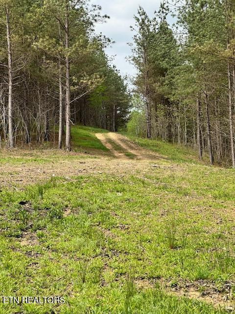 Stonecipher Court Sunbright, TN 37872 - Photo 13 of 38 STONECIPHER DRIVE INTO PROPERTY