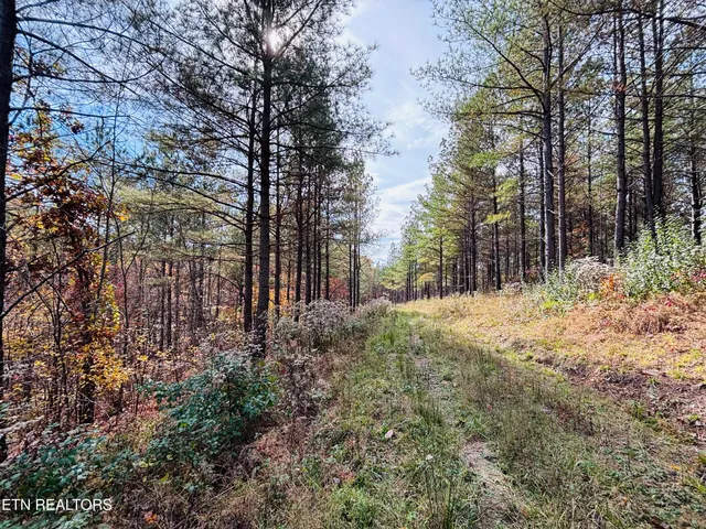 $145,000 | Stonecipher Court, Sunbright, TN 37872