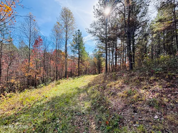 $145,000 | Stonecipher Court, Sunbright, TN 37872