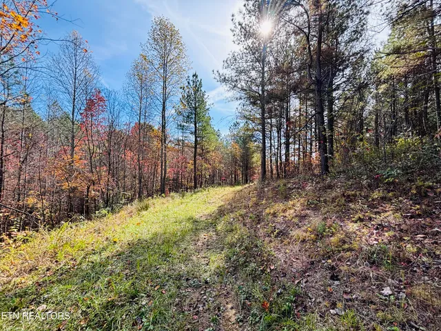 $145,000 | Stonecipher Court, Sunbright, TN 37872