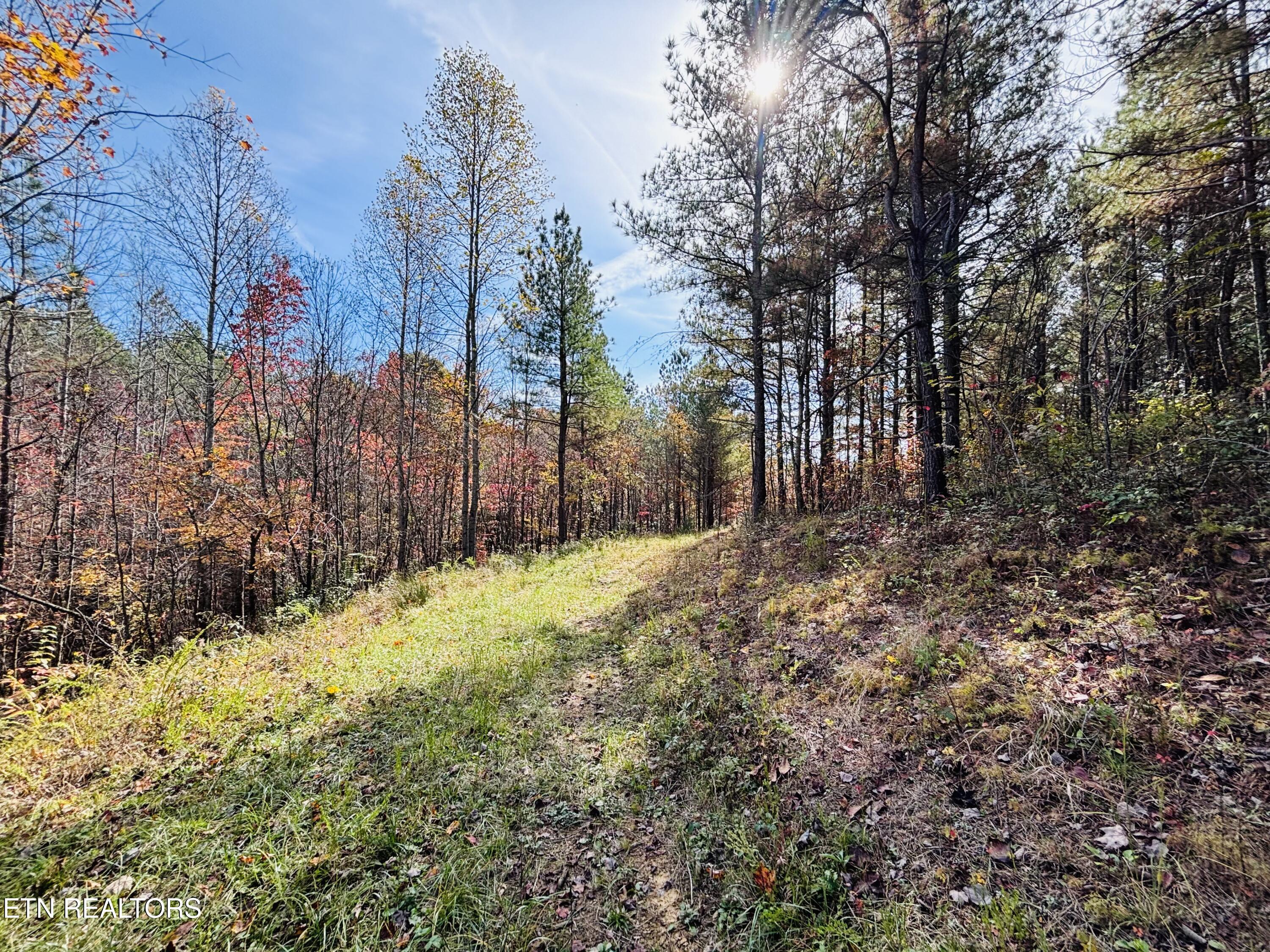 Stonecipher Court Sunbright, TN 37872 - Photo 15 of 38 IMG_2377