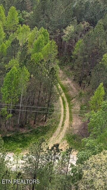 Stonecipher Court Sunbright, TN 37872 - Photo 16 of 38 STONECIPHER AERIAL WITH DRIVE
