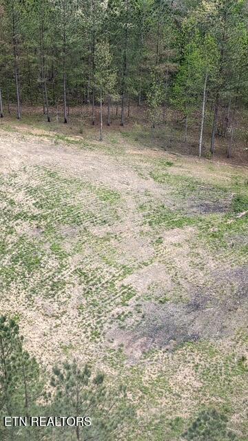 Stonecipher Court Sunbright, TN 37872 - Photo 18 of 38 STONECIPHER VIEW TO WOODS UP SLOPE