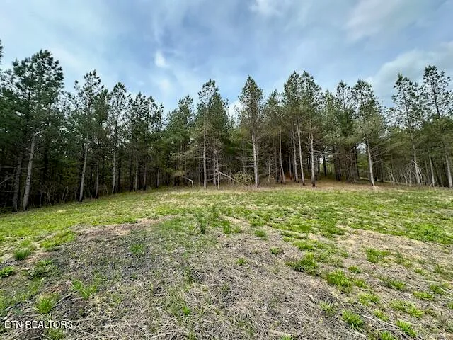 $145,000 | Stonecipher Court, Sunbright, TN 37872