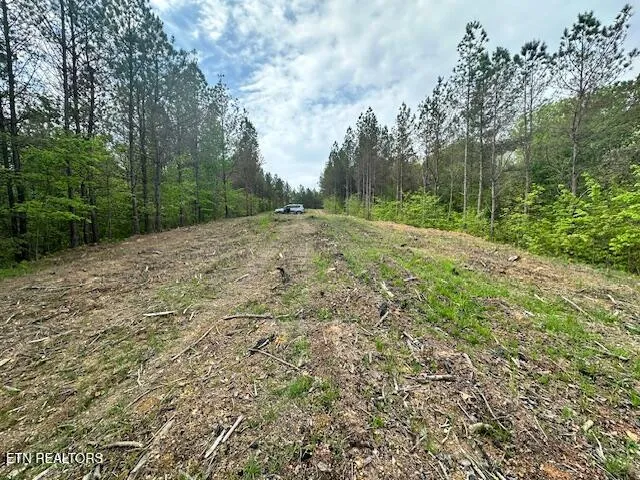 $145,000 | Stonecipher Court, Sunbright, TN 37872