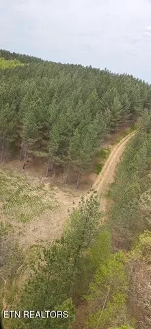 $145,000 | Stonecipher Court, Sunbright, TN 37872