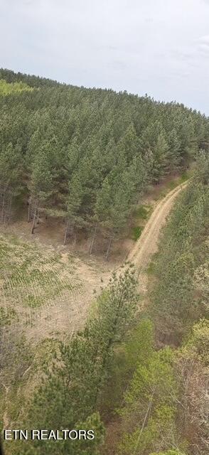 Stonecipher Court Sunbright, TN 37872 - Photo 22 of 38 STONECIPHER CROPPED AERIAL