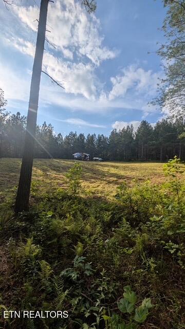 Stonecipher Court Sunbright, TN 37872 - Photo 23 of 38 STONECIPHER RV SUNSET