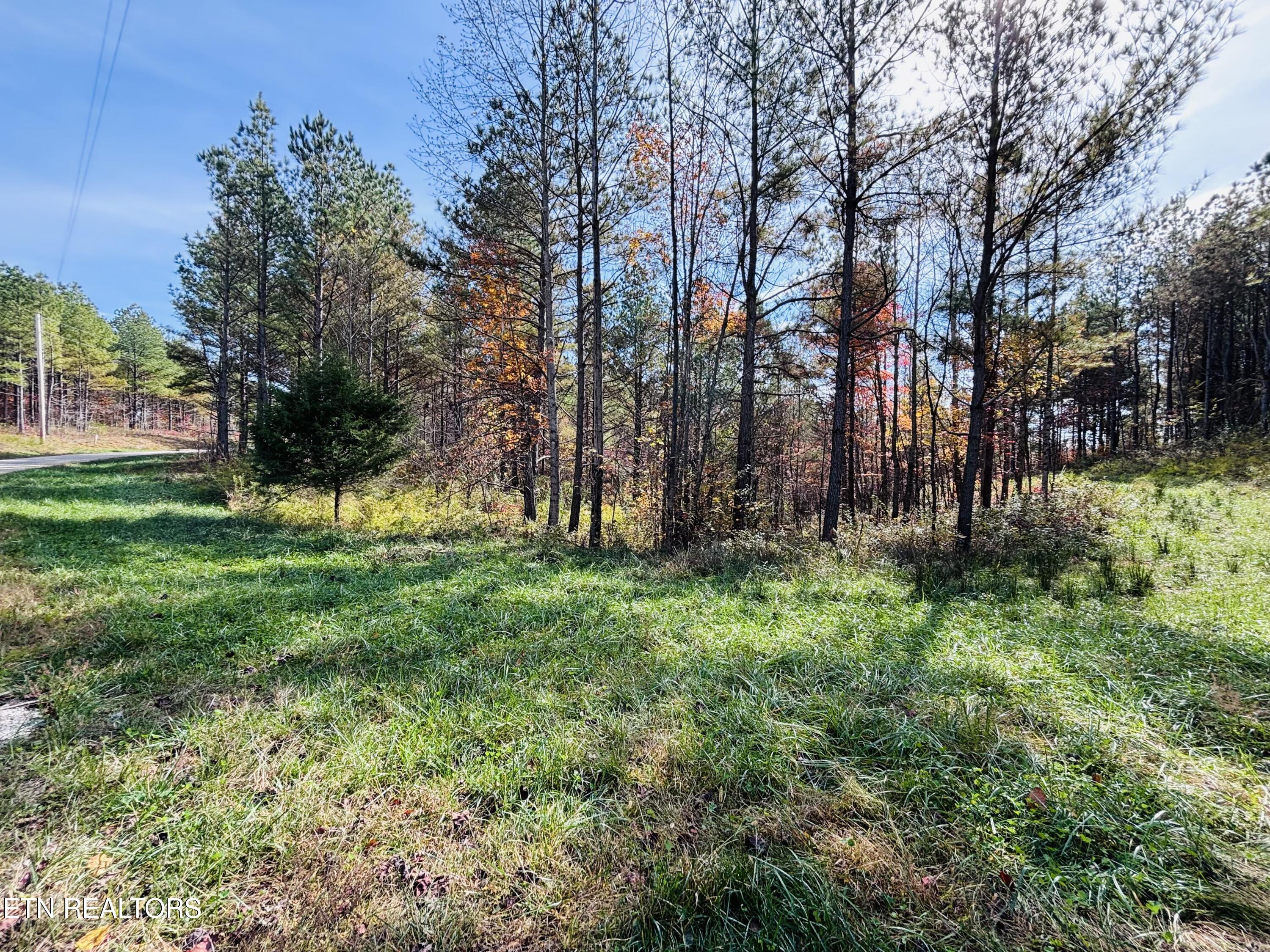 Stonecipher Court Sunbright, TN 37872 - Photo 26 of 38 IMG_2375